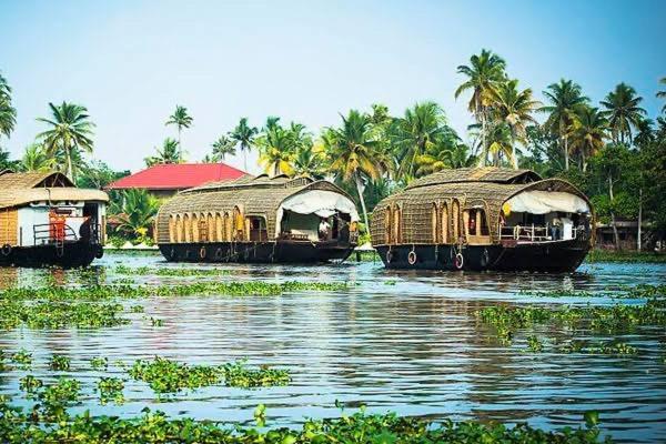 Marari Beach Cleetus Homestay Марарикулам Экстерьер фото