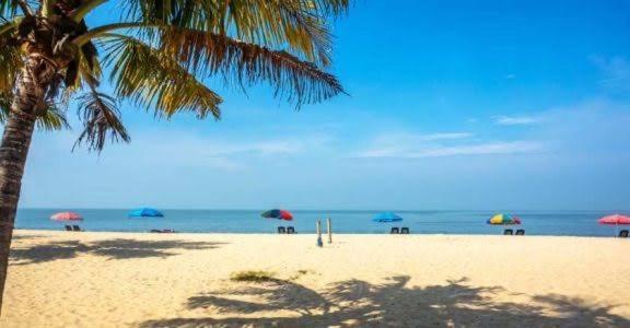 Marari Beach Cleetus Homestay Марарикулам Экстерьер фото